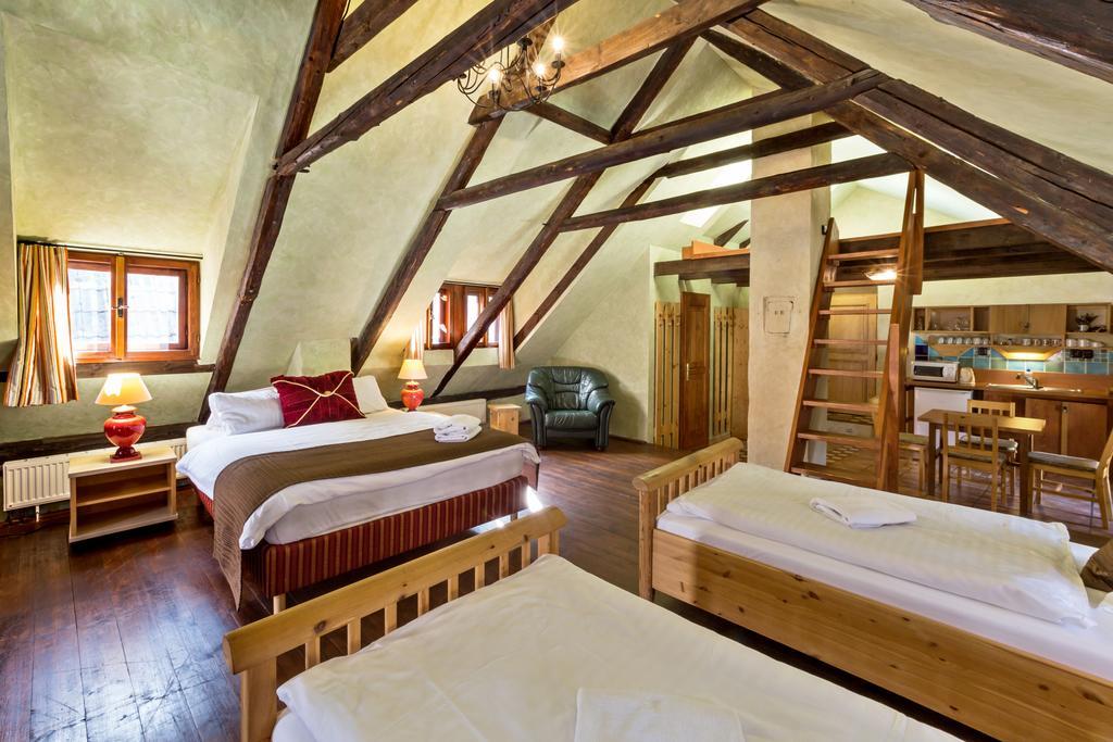 Pension U Hada Český Krumlov Extérieur photo